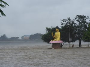 News-Image
