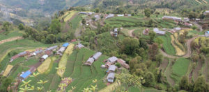News-Image