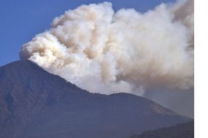 News-Image
