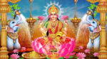 News-Image